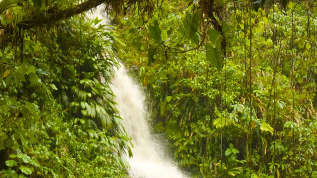 Ciudad Perdida 3